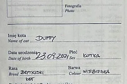 Drapak dla kota, Opolskie, Zielina