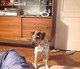 Nie zwlekaj! Cudowna Draka na Ciebie czeka. Podaru