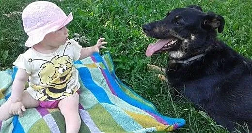 Aaaaadoptuj Dyzia! Zyska przyjaciela!, mazowiecki