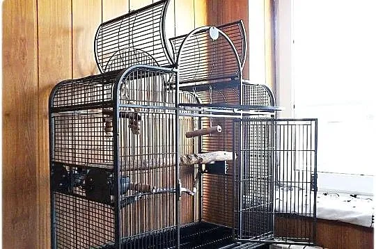 Duża Solidna Klatka Woliera dla papug Montana San Remo III Stan jak Nowa !, Lubuskie, Lubsko