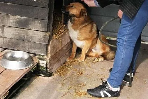 Kto pokocha naszego wystraszonego Pawełka? ,  śląs