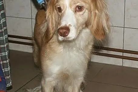 Czy znajdziesz miejsce dla mnie u siebie...?