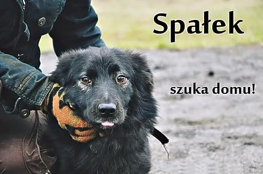 Spałek :) Śpiący Królewicz chce zacząć śnić...tylk