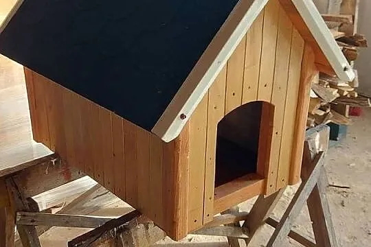 Buda dla psa durza i mała, Lubelskie, Leśna Podlaska