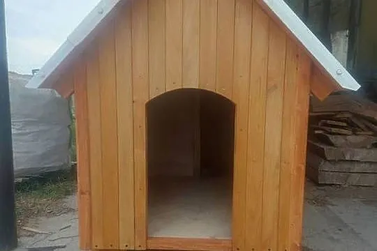 Buda dla psa durza i mała, Lubelskie, Leśna Podlaska