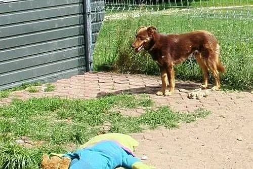 Wedel...słodka czekoladka, która nie wie, jak zauf