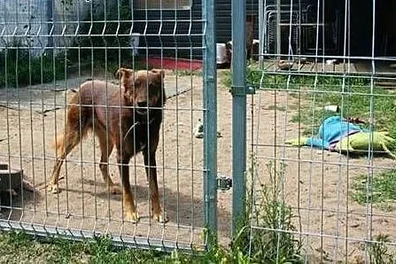 Wedel...słodka czekoladka, która nie wie, jak zauf