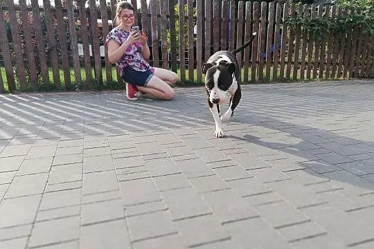 JERO to prawdziwy psi bohaterrooo ;), Warszawa