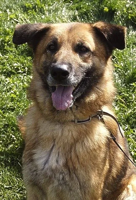 Oskar Niezwykły :)