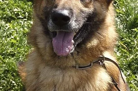 Oskar Niezwykły :)