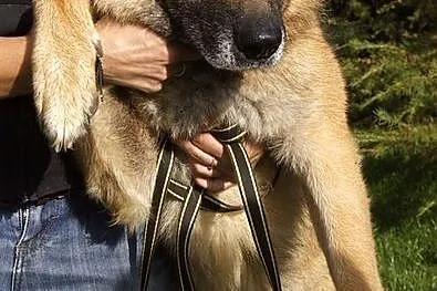 Oskar Niezwykły :)