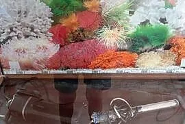Akwarium 120 l