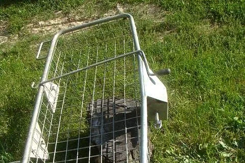 kosz na zwierzyne, Lubuskie, Kaława
