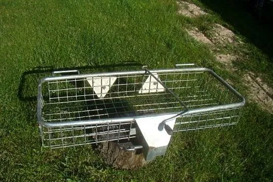 kosz na zwierzyne, Lubuskie, Kaława