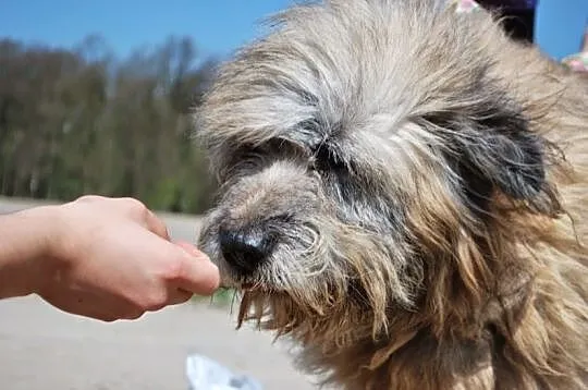 Bafik oaza spokoju i łagodności
