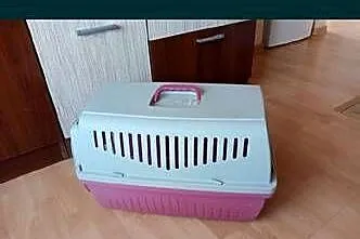 Klatka dla kotka lub pieska, Lubelskie, Tomaszów Lubelski