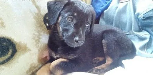 Kto mnie pokocha, bo ja kocham wszystkich!!!, maz