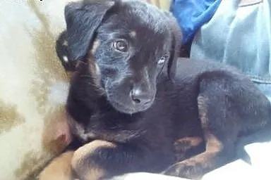 Kto mnie pokocha, bo ja kocham wszystkich!!!,  maz