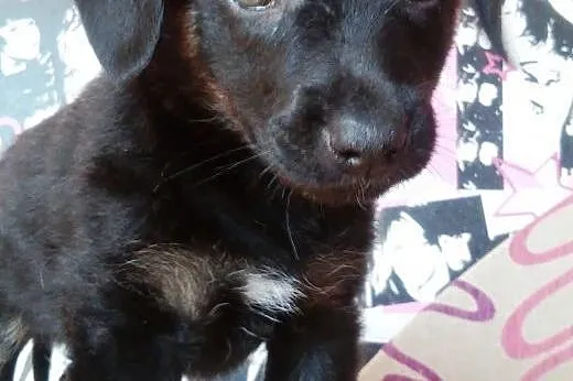 Kto mnie pokocha, bo ja kocham wszystkich!!!,  maz