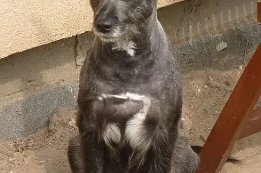Pięknie opakowane szczęście &#8211; Kajusia do