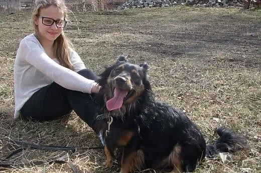 Nero - do adopcji,  dolnośląskie Dzierżoniów