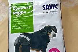 Pampersy dla dużego psa