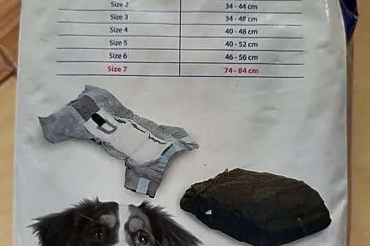 Pampersy dla dużego psa, Lubelskie, Chełm