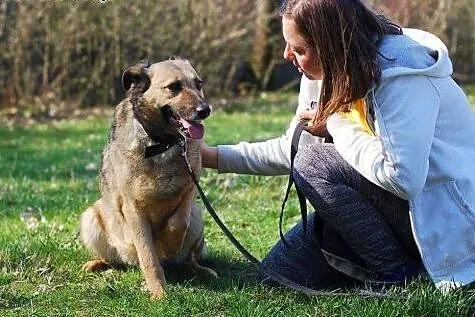 Kelly -psia dama szuka miłości z wzajemnością:),  