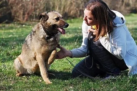 Kelly -psia dama szuka miłości z wzajemnością:),  