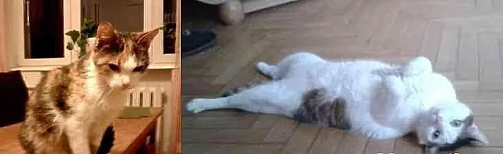 Albert i Mała zostały same po śmierci ukochanej op