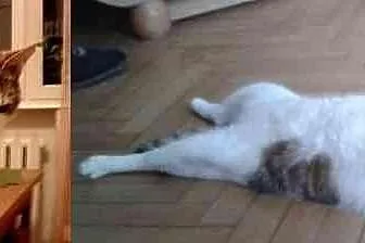 Albert i Mała zostały same po śmierci ukochanej op