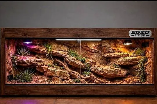 Terrarium specjalistyczne dla agamy brodatej gekona lamparciego