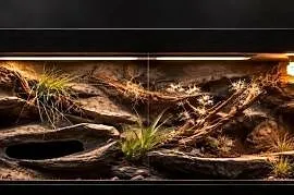 Terrarium profesjonalne dla gekona lamparciego agamy brodatej