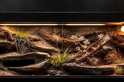 Terrarium profesjonalne dla gekona lamparciego agamy brodatej