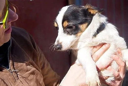Lotos to bardzo drobny piesek, na pewno zmieści si