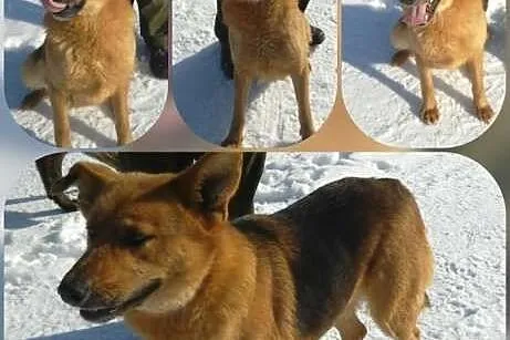 DAISY kto pokocha?,  mazowieckie Warszawa
