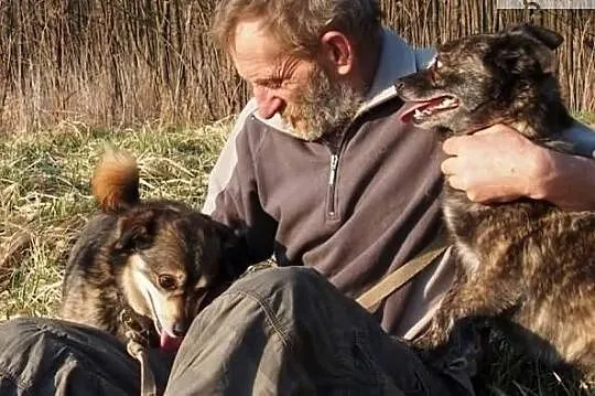 Daj wspaniałym psiaczkom cudowne domki na jakie zasługują
