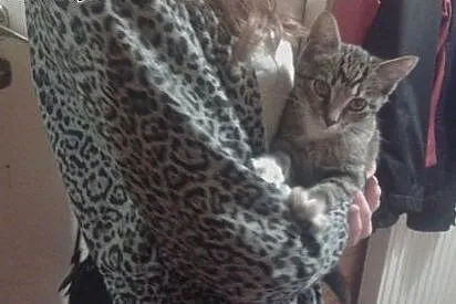 Lusia do adopcji,  Pozostałe cała Polska
