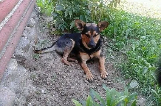Atos szuka domu