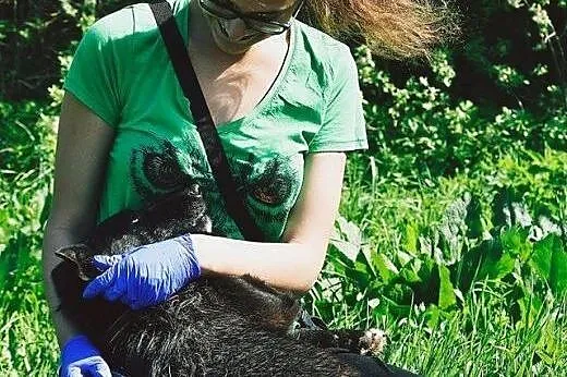Sabek bardzo źle znosi pobyt w schronisku ocal go 