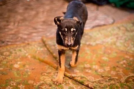 Bella - delikatna i wrażliwa piękność pilnie szuka