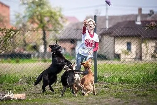 LORI - radości szał! Adoptuj - cud sunię będziesz 