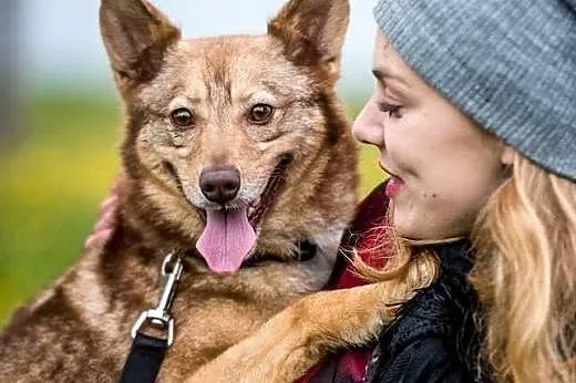 NOVA &#8211; z takim psem, jak ona, każdego dn