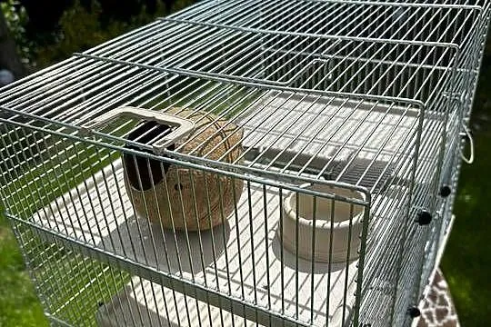 KLATKA DLA CHOMIKA Z WYPOSAŻENIEM., Mazowieckie, Płock