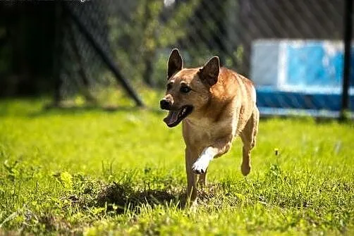 MARIO - i Twój świat nabiera pięknych barw :),  ma