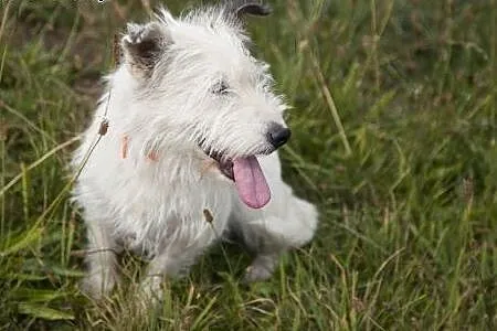Bianka boskie cudo do pokochania :),  łódzkie Łódź