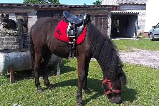 Sprzedam Kuca Tanio