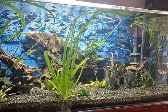 Akwarium 450l z zyciem i osprzetem+szafka i