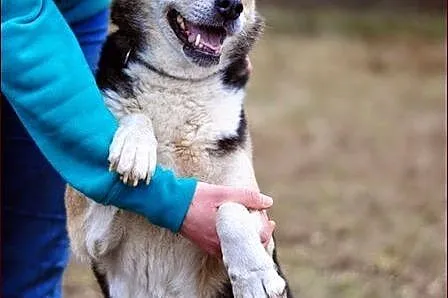 Vega - niech ta gwiazdka lśni przy Tobie :)