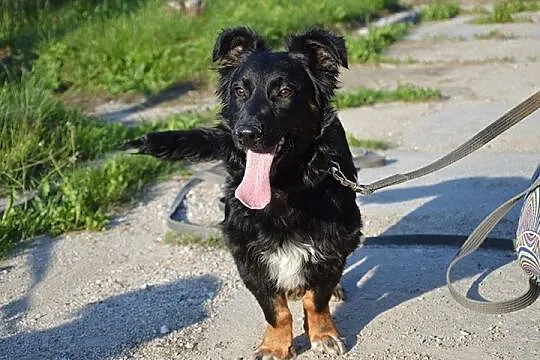 Czantor-jego rodzina się przeprowadziła-on został sam!